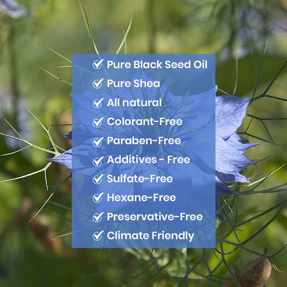 Black Seed Moisturizing Butter