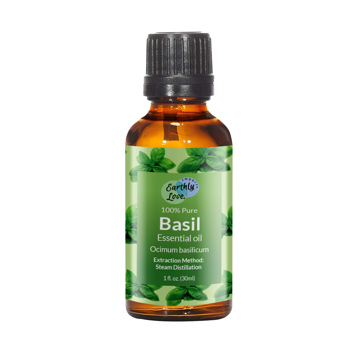 Basil Sweet Essential Oil (Organic)