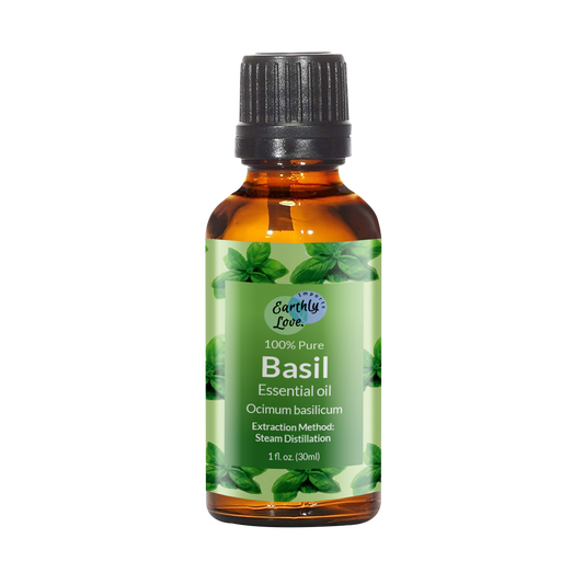 Basil Sweet Essential Oil (Organic)