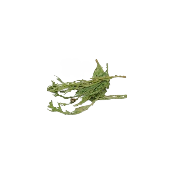 Herbs & Resin CDCR approved