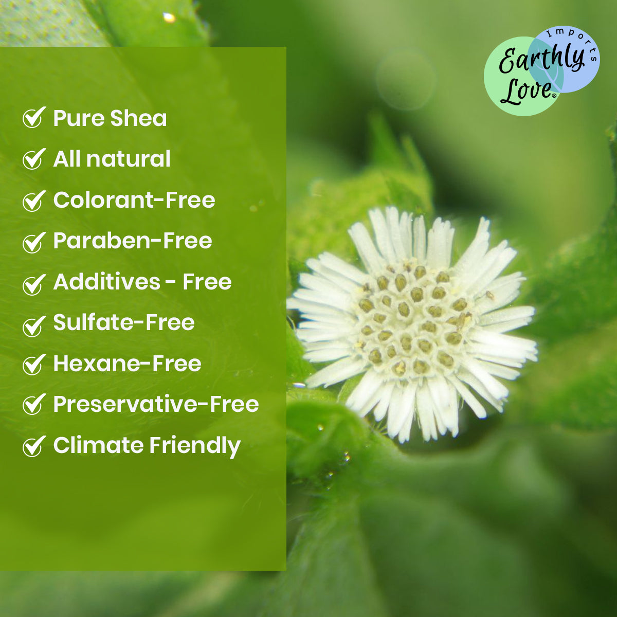 Bhringraj Hair & Skin Oil