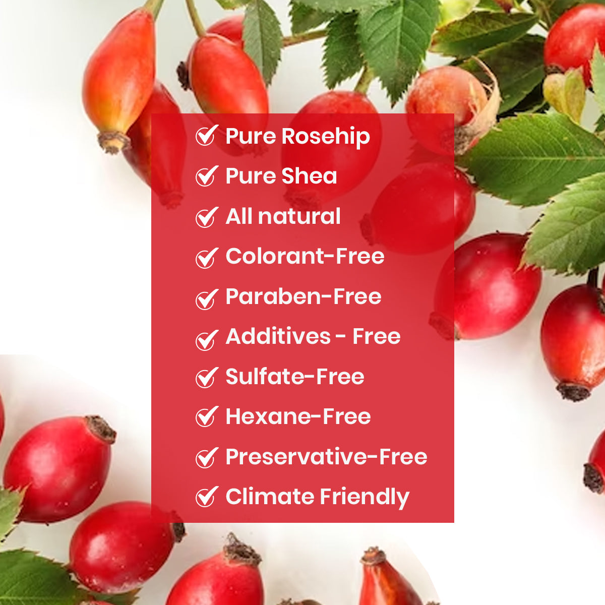 Rosehip’s Secret: What Nature’s Quiet Healer Can Do for Your Skin