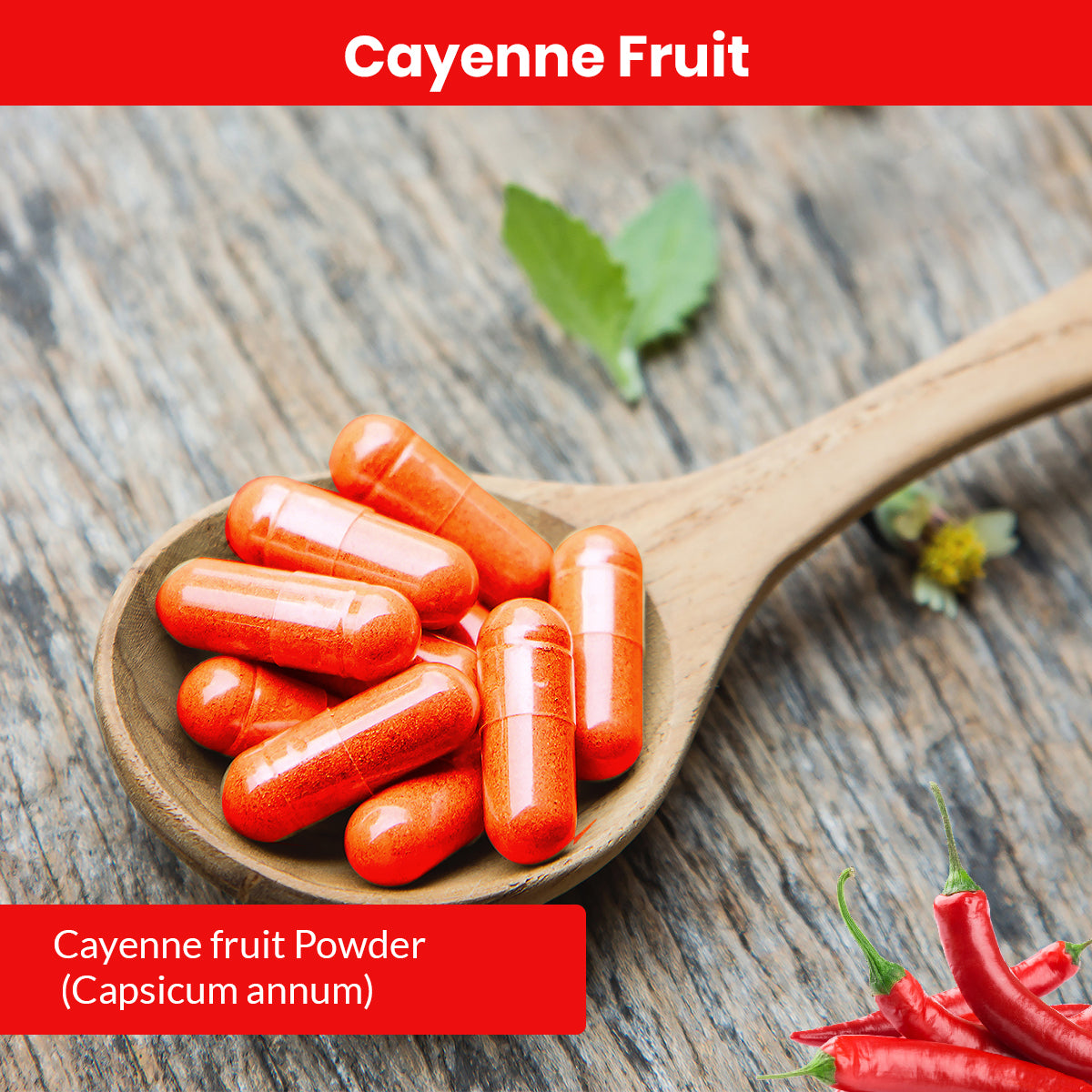 Cayenne Fruit Herbal Supplement Capsules