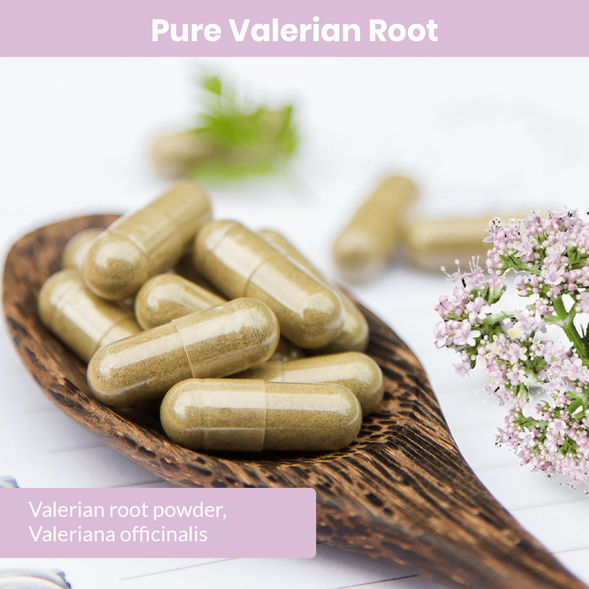 Pure Valerian Root Herbal Supplement Capsules